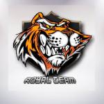 Royal Team: nova lineup brasileira de LoL