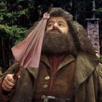 Hagrid: ator Robbie Coltrane, morre aos 72 anos